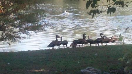 1024 - 1038 W DIXIE AVENUE