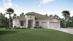 00 LIVE OAK