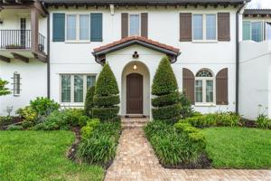 8933 FOUNTAIN PALM
