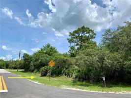 LOT 22 ALDER