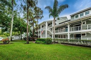 2533 DOLLY BAY