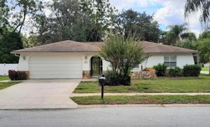 7508 CYPRESS KNEE