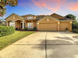 3203 LARGE OAK