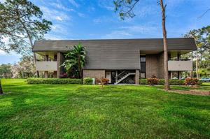 36750 US HIGHWAY 19 N