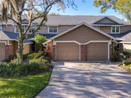 679 SCARLET OAK