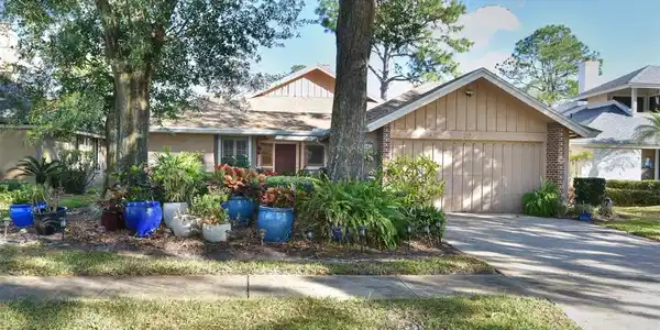217 SHADOWBAY