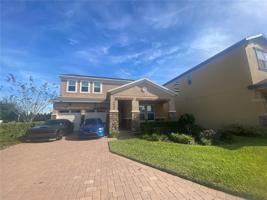 6806 TRELLIS VINE