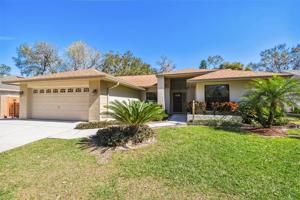 6412 BUTTERNUT