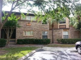 498 PIN OAK