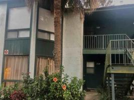 2526 LEMON TREE
