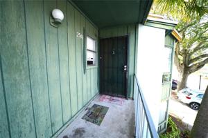 2546 LEMON TREE