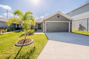 11609 SAW PALMETTO