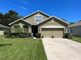 12843 TURNSTONE