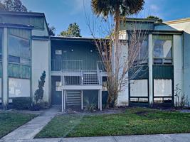 2514 LEMON TREE