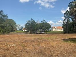 21 PALMETTO S
