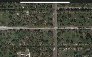 1004 TROPICANA
