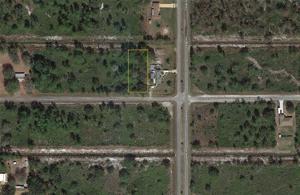 804 POINCIANA