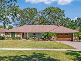 5931 PITCH PINE