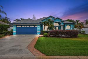 2311 OASIS