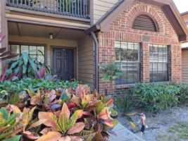 365 FORESTWAY