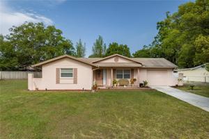 3743 HOLLOW OAK