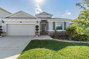 3177 LIVING CORAL