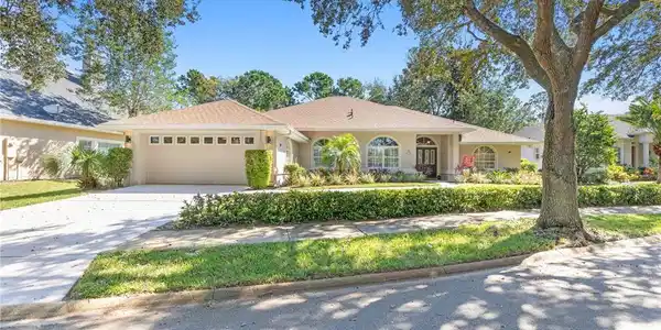 3 IBIS CT S