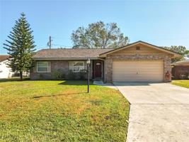 416 CYPRESS