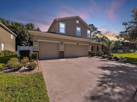 3011 CALVANO