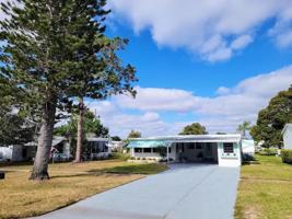 209 LAKE TARPON