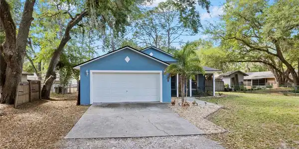 6436 FIG LEAF