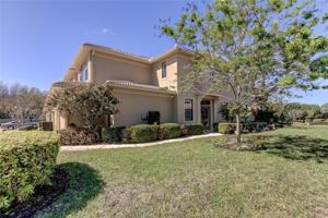 2529 TRANQUILITY