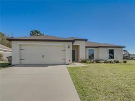 12141 BUTTONBUSH