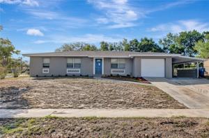 401 HOLLYHOCK