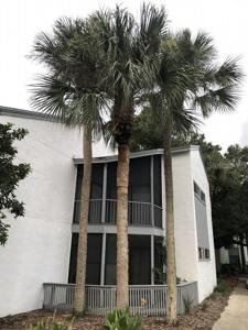 2402 LENONTREE