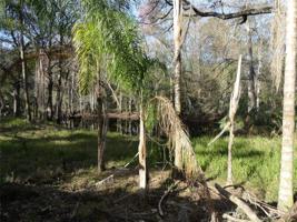 2215 OLD CYPRESS CREEK