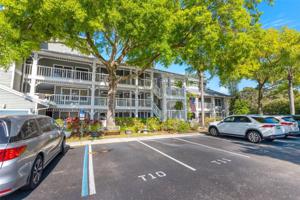 2599 DOLLY BAY