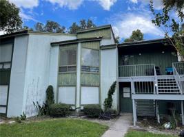 2510 LEMON TREE