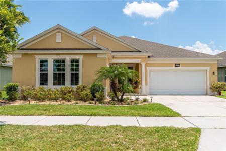 325 BLUE CYPRESS