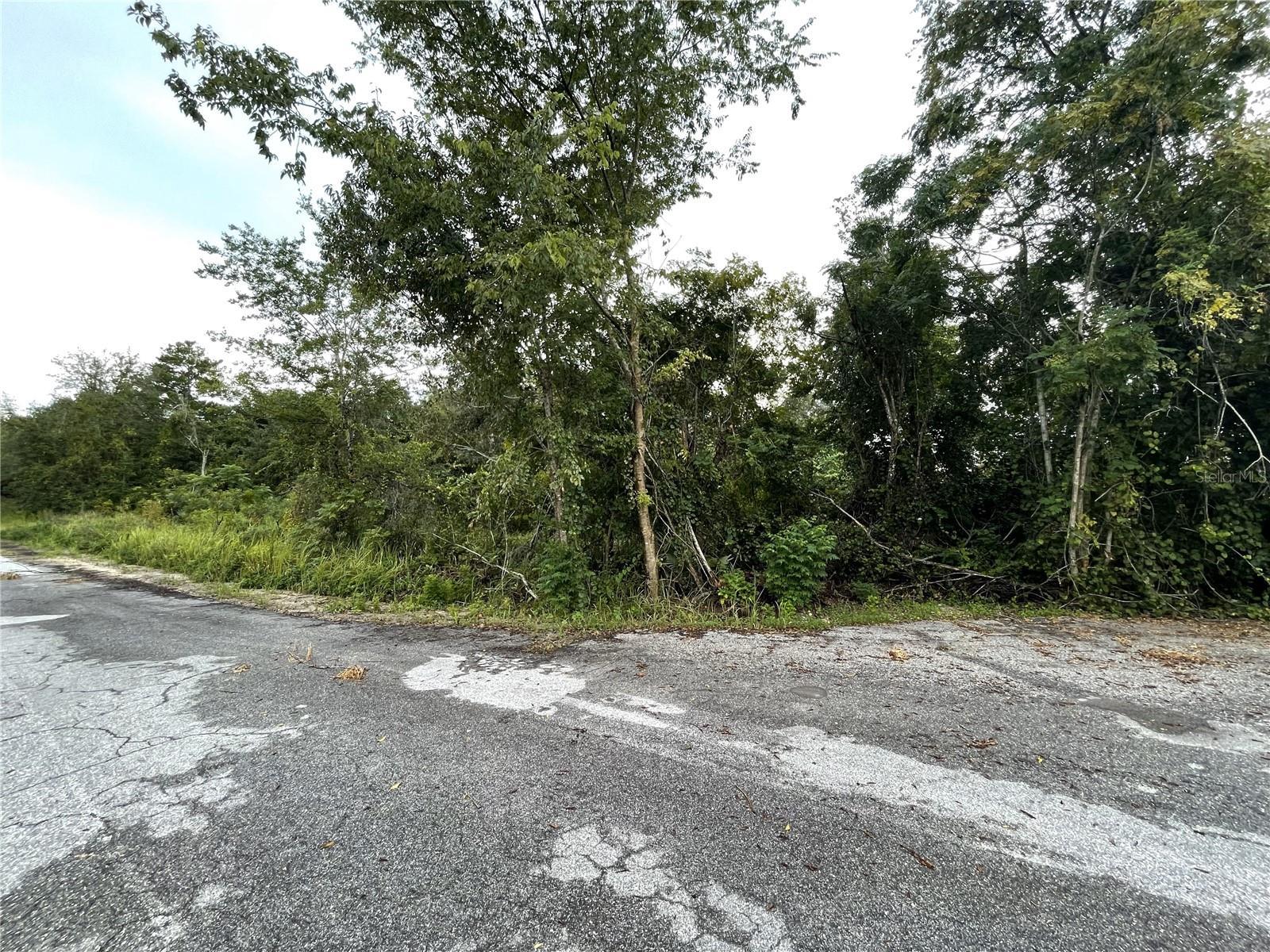 Image 1 Image 1