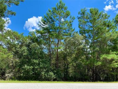 LOT 5 ASPEN