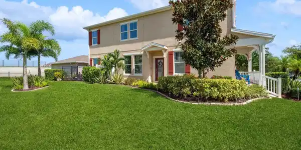8092 BLUEJACK OAK
