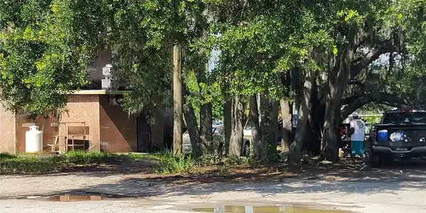 PALMETTO NW