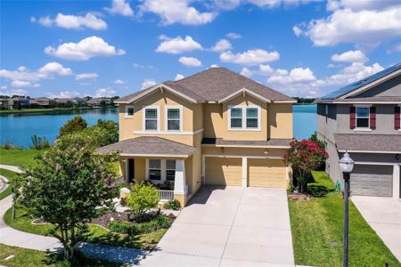 543 BLUE CYPRESS