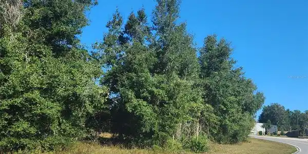 COMMERCIAL