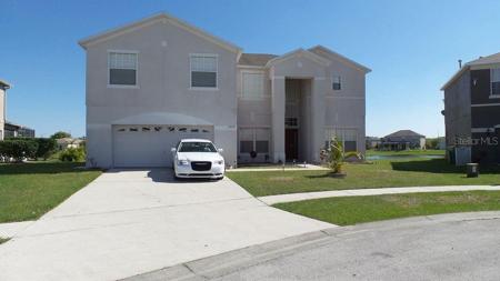 2529 CALLA LILY