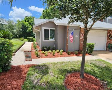 610 CHESTNUT OAK