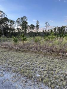 603 ALLAMANDA DRIVE