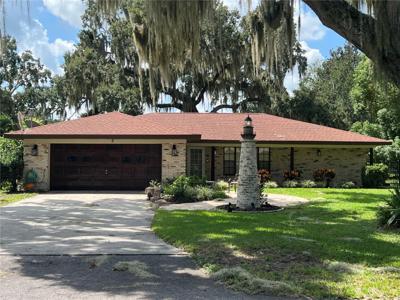 5 LIVE OAK
