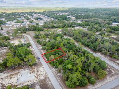 1305 HOMOSASSA
